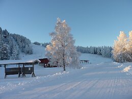 Hammarstrands Camping, Stugby och Fiske