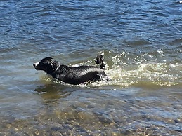 Hammarstrands Camping, Stugby och Fiske