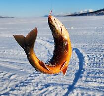 Hammarstrands Camping, Stugby och Fiske