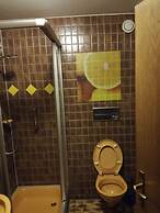 Black Forest Family Apartment-Zum Letzten G'Stehr