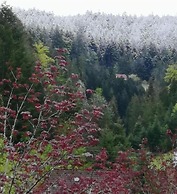 Black Forest Family Apartment-Zum Letzten G'Stehr