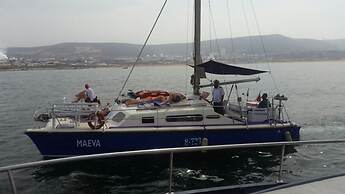 Residence Islane Hay Mohammadi