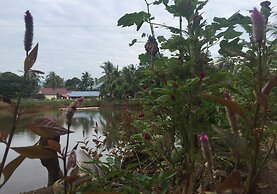 Bakau Hijau Riverlodge - Hostel