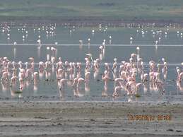 Kiboko Lodge