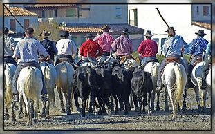 Le Louvre, Lieu atypique
