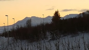 The Viking Country Club