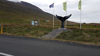 The Viking Country Club