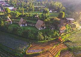 Village Above The Clouds