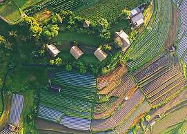 Village Above The Clouds