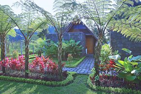 Village Above The Clouds