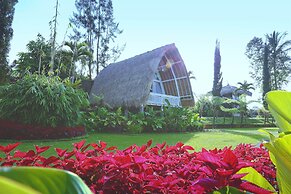Village Above The Clouds