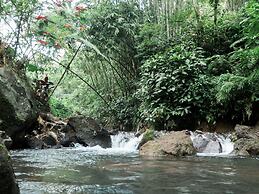Village Above The Clouds