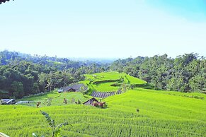 Village Above The Clouds
