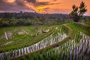 Village Above The Clouds