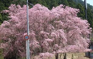 Kyo No Yado Nishioji