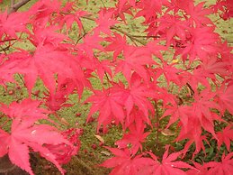 Kyo No Yado Nishioji