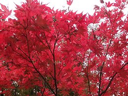 Kyo No Yado Nishioji