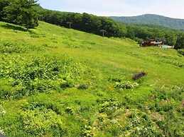 Lodge Christmas Rose ZAO