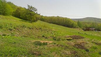 Lodge Christmas Rose ZAO