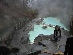 Lodge Christmas Rose ZAO