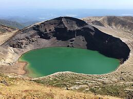 Lodge Christmas Rose ZAO