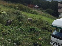 Lodge Christmas Rose ZAO