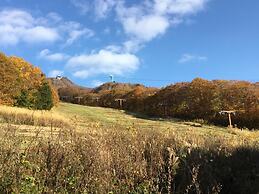 Lodge Christmas Rose ZAO