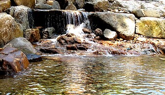 As First Time Pension