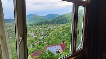 Kungut Hotel & Resort