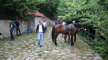 Kungut Hotel & Resort