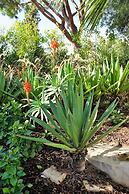 Charming Exceptional Villa in Algarve