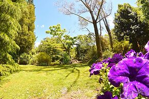 Te Popo Gardens and Accommodation