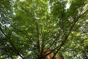 Appartements in Graz beim LKH