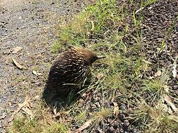 Rustic Country Lane Farmhouse in Lysterfield