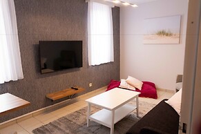 Renovated Apartment in Antwerp