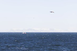 Raven's Bed and Breakfast