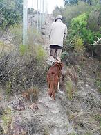 Farm Stays, Here you Will be Able to Relax and Enjoy the Beauty of Nat