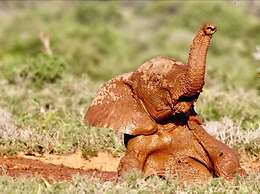 Farm Stays, Here you Will be Able to Relax and Enjoy the Beauty of Nat