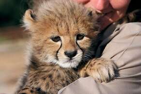 Farm Stays, Here you Will be Able to Relax and Enjoy the Beauty of Nat