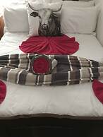 Farm Stays, Here you Will be Able to Relax and Enjoy the Beauty of Nat