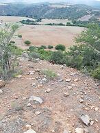 Farm Stays, Here you Will be Able to Relax and Enjoy the Beauty of Nat