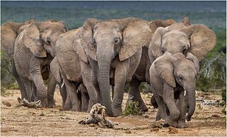 Farm Stays, Here you Will be Able to Relax and Enjoy the Beauty of Nat