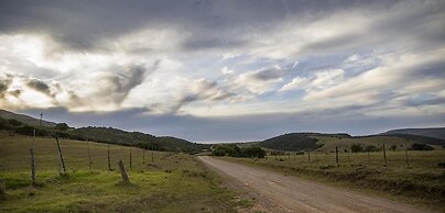 Farm Stays, Here you Will be Able to Relax and Enjoy the Beauty of Nat