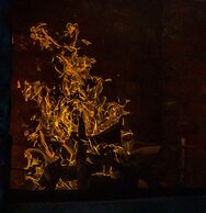 Farm Stays, Here you Will be Able to Relax and Enjoy the Beauty of Nat