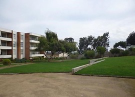 Depto Algarrobo Condominio Regata 1032