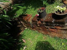 Lal HomeStay