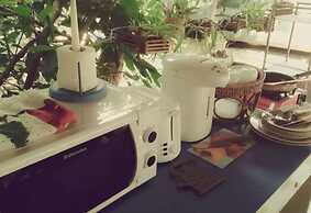 Mild Home Guesthouse