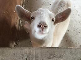 Gufo no Mori Kamifurano