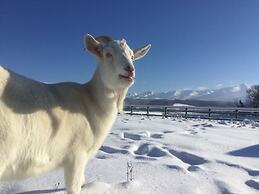 Gufo no Mori Kamifurano