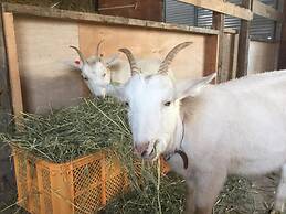 Gufo no Mori Kamifurano